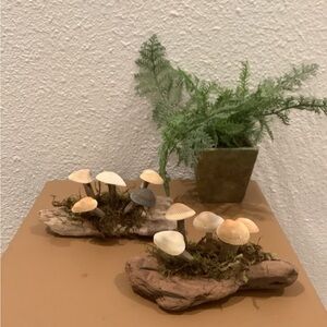Driftwood Art, Driftwood & Seashell Mushrooms , Mushroom Art